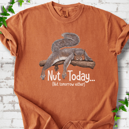 NutTodaySquirrel NutTodaySquirrel CCMockup Yam