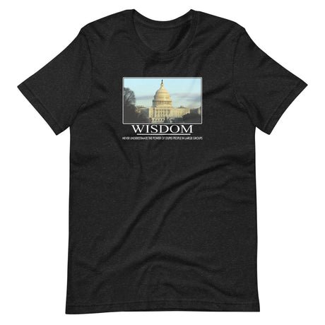 wisdom us capitol shirt 183423